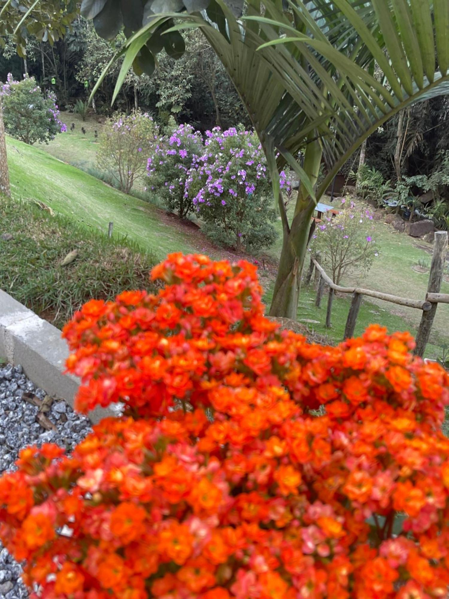 Pousada Sitio Das Pedras โดมิงกอส มาร์ตินส์ ภายนอก รูปภาพ