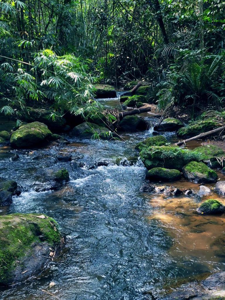 Pousada Sitio Das Pedras โดมิงกอส มาร์ตินส์ ภายนอก รูปภาพ