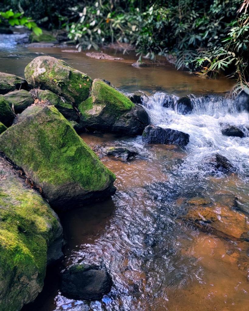 Pousada Sitio Das Pedras โดมิงกอส มาร์ตินส์ ภายนอก รูปภาพ