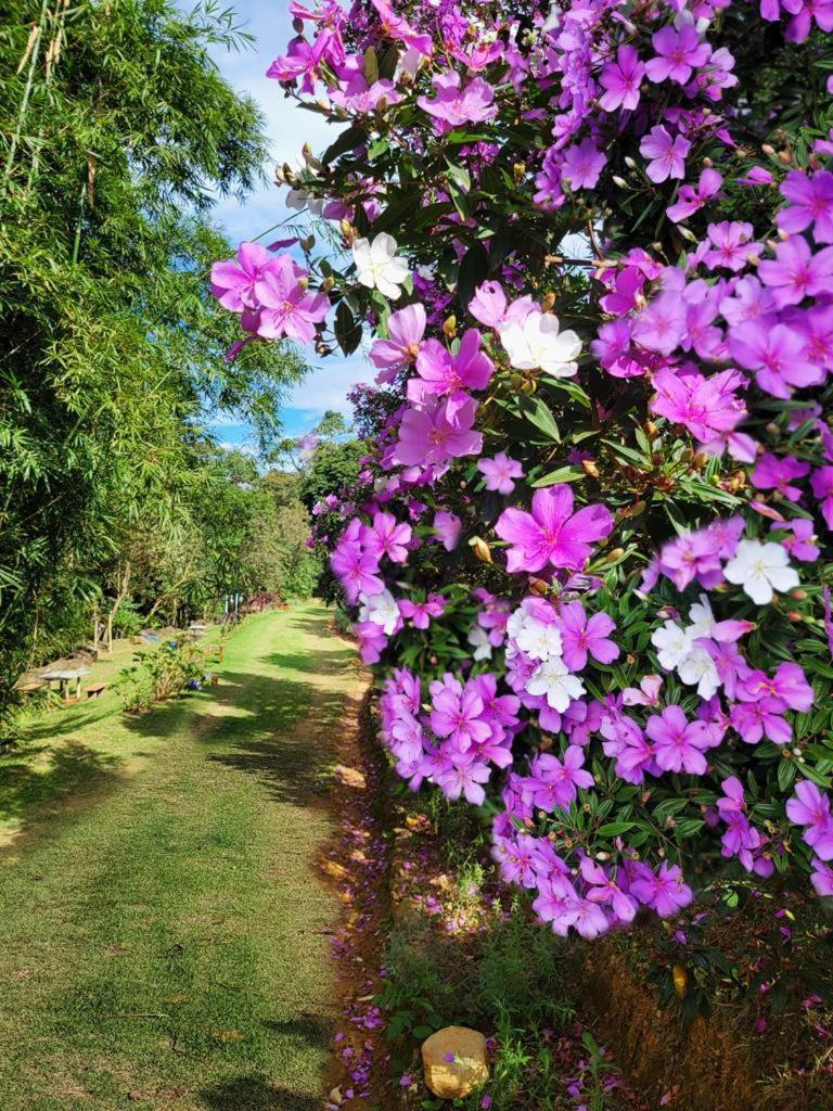 Pousada Sitio Das Pedras โดมิงกอส มาร์ตินส์ ภายนอก รูปภาพ